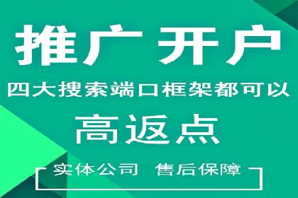 数据分析助力信息流广告：某品牌成功案例揭秘